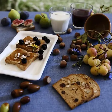 Bed & Breakfast Sapigno SantʼAgata Feltria